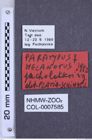 Etiketten zu Melanotus pacholatkoi (NHMW-ZOO-COL-0007585)